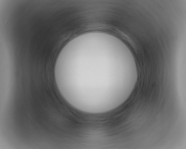 X0000113900452200909241206