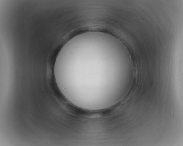 X0000113900456200909241206