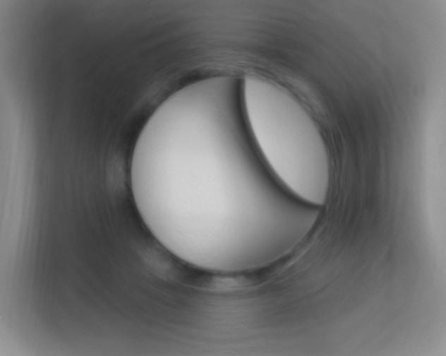 X0000113900457200909241206