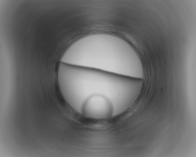 X0000113900459200909241206