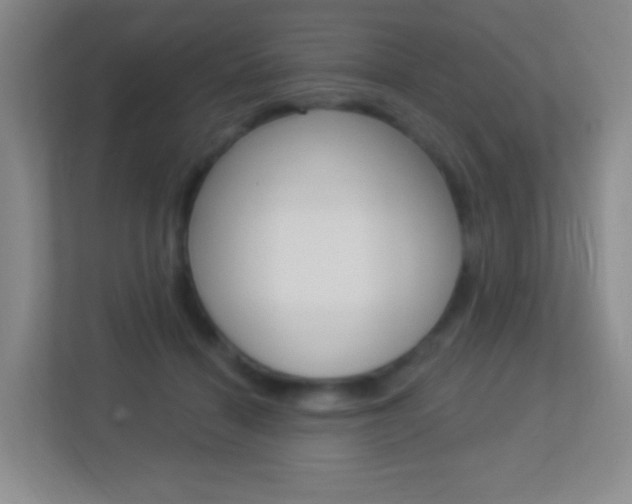 X0000113900460200909241206