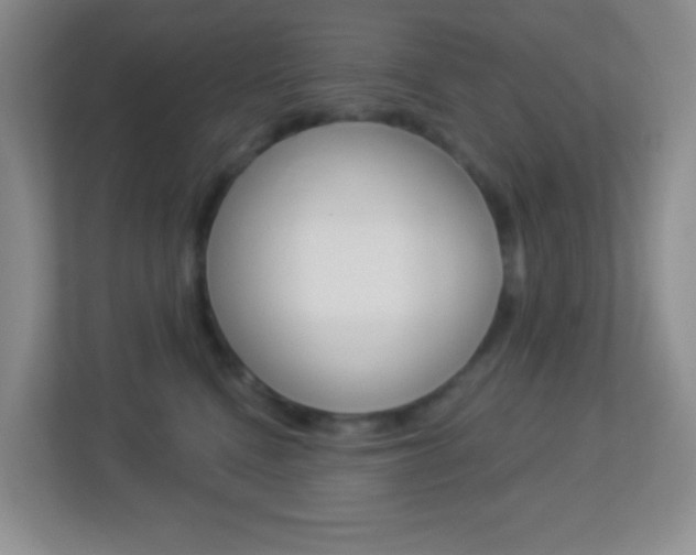 X0000113900472200909241206