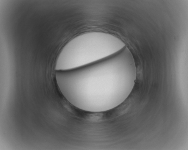 X0000113900474200909241206