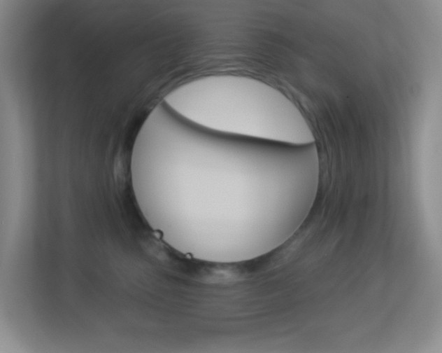X0000113900475200909241206