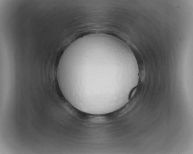 X0000113900476200909241206