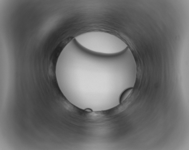 X0000113900477200909241206