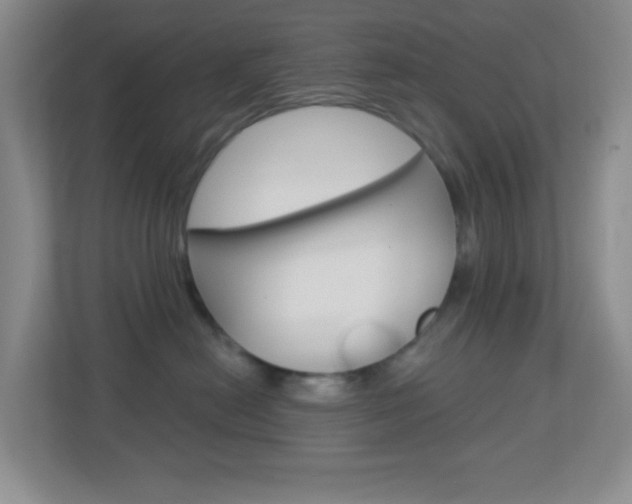 X0000113900478200909241206