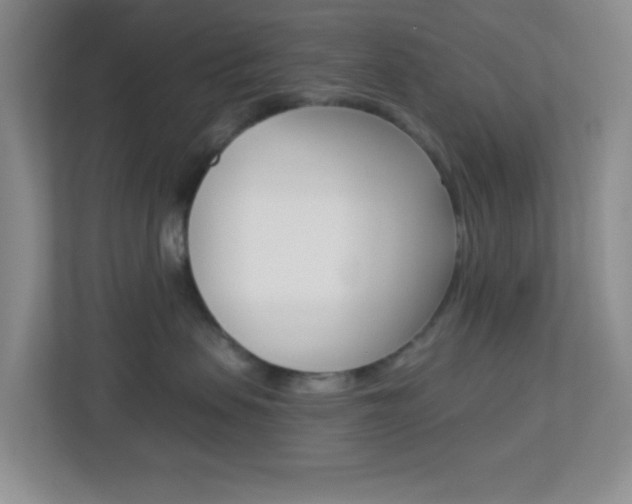 X0000113900479200909241206