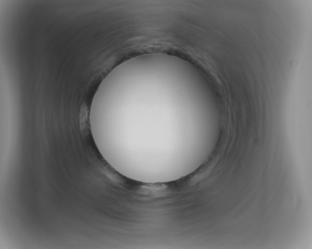 X0000113900480200909241206
