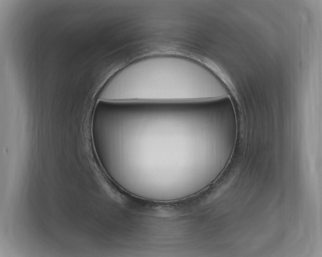 X0000113900481200909241206