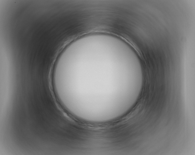X0000113900485200909241206