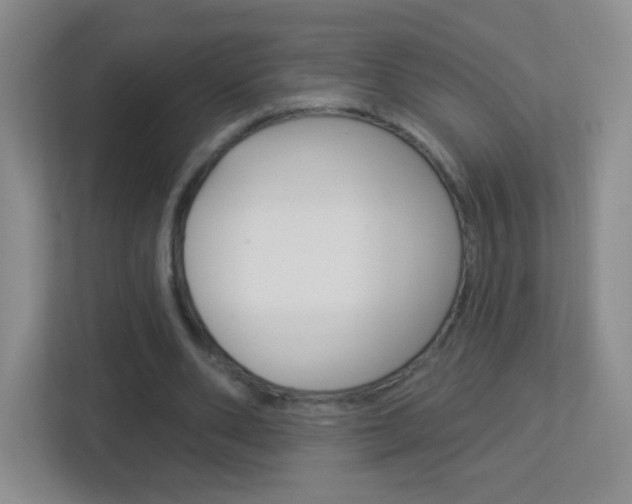X0000113900486200909241206