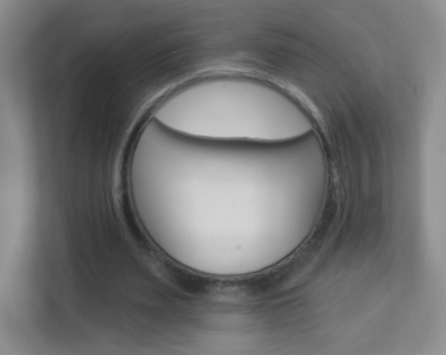 X0000113900487200909241206