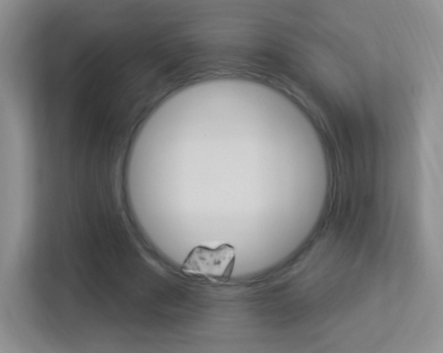 X0000113900489200909241206