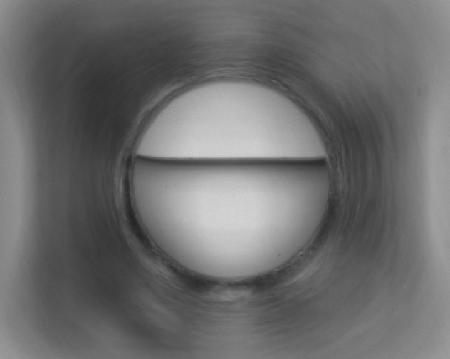 X0000113900491200909241206