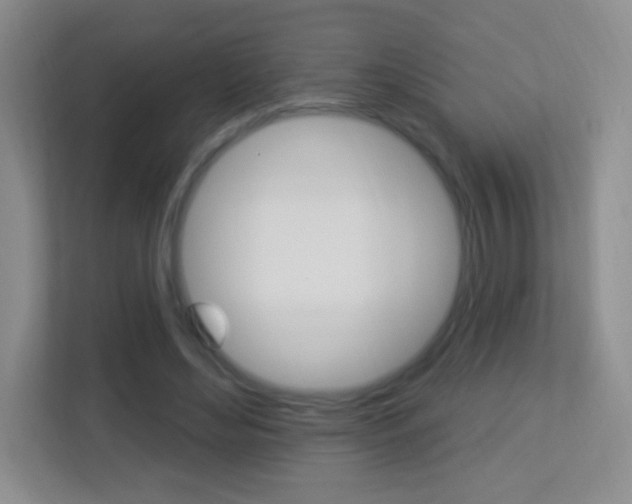X0000113900492200909241206