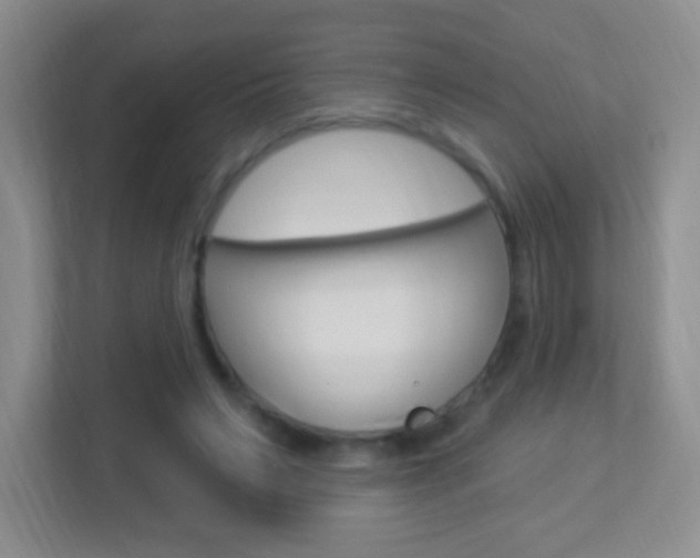 X0000113900495200909241206