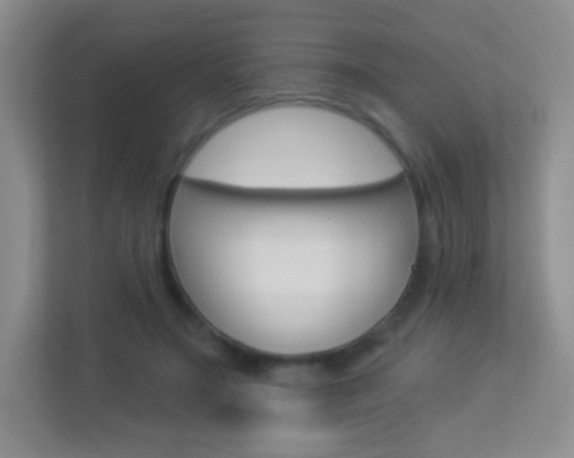 X0000113900499200909241206