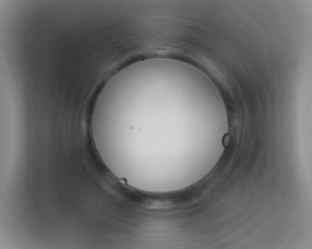 X0000113900500200909241206