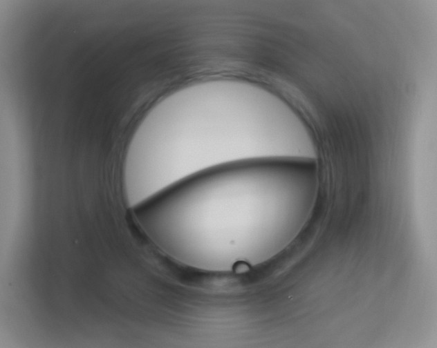 X0000113900501200909241206
