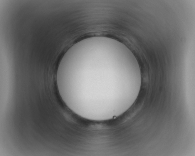 X0000113900503200909241206