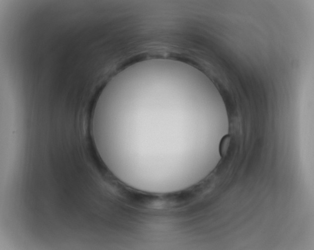 X0000113900504200909241206