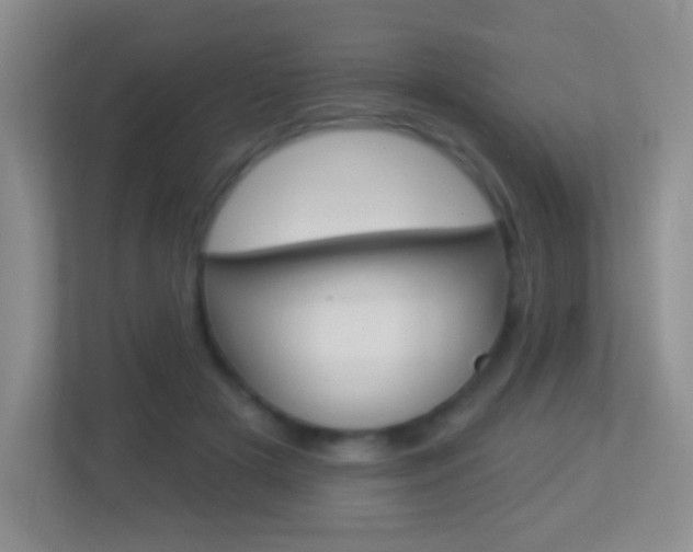 X0000113900505200909241205