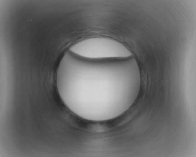X0000113900511200909241205