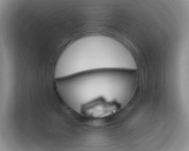 X0000113900513200909241205