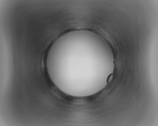 X0000113900516200909241205
