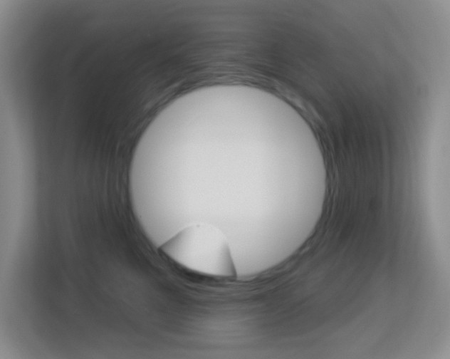 X0000113900521200909241205