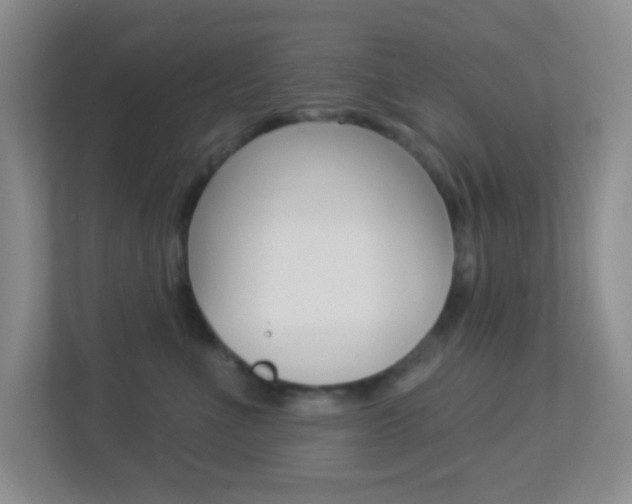 X0000113900523200909241205