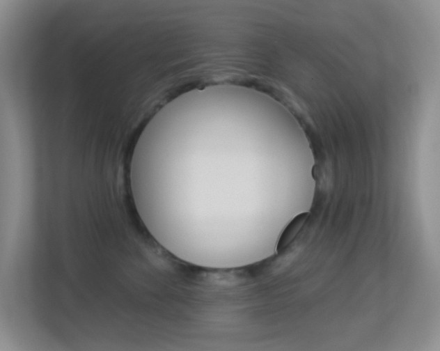 X0000113900524200909241205