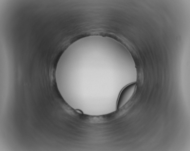 X0000113900525200909241205