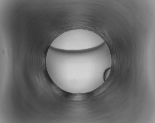 X0000113900527200909241205