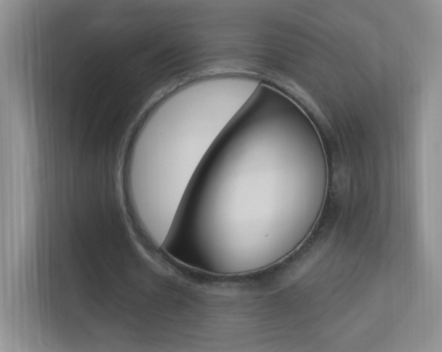 X0000113900530200909241205