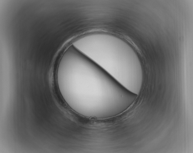 X0000113900531200909241205