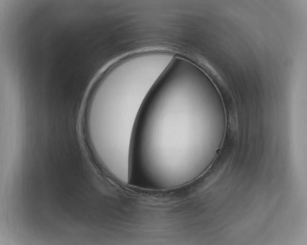 X0000113900532200909241205