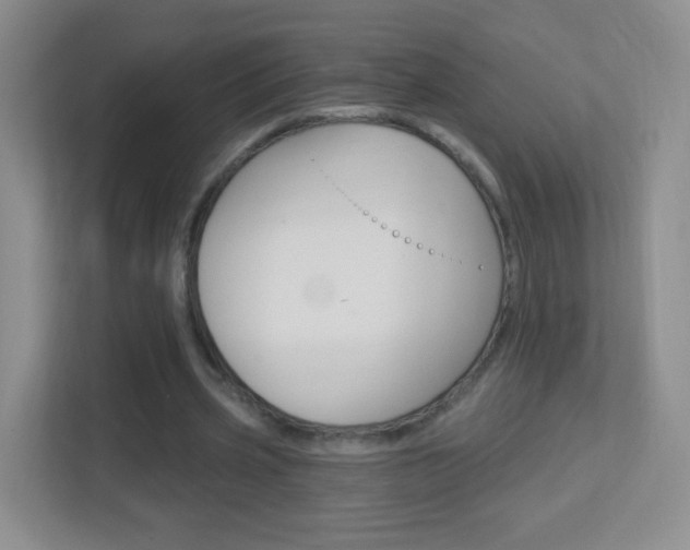 X0000113900533200909241205