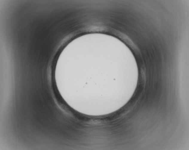 X0000113900534200909241205
