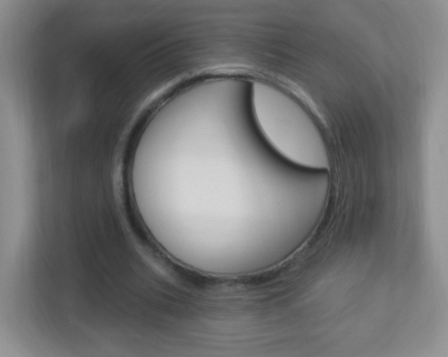 X0000113900535200909241205