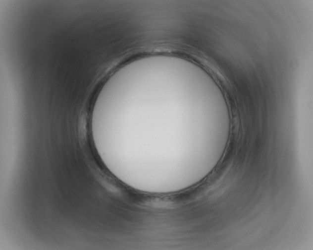 X0000113900537200909241205