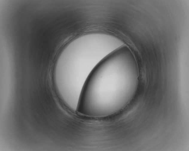X0000113900538200909241205