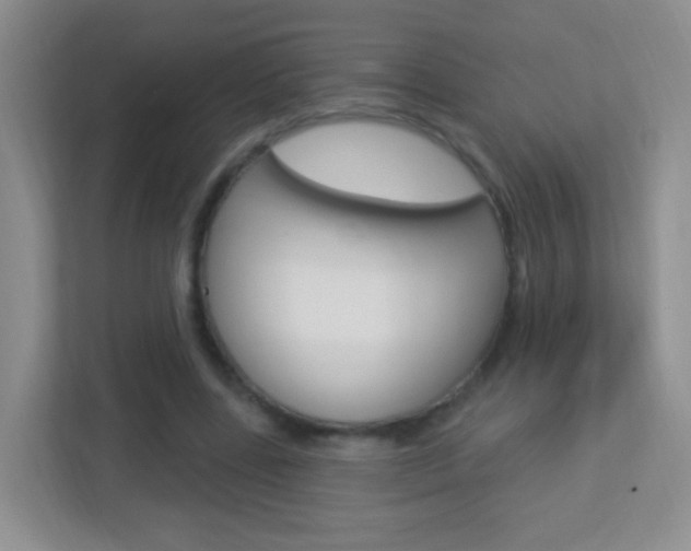 X0000113900539200909241205