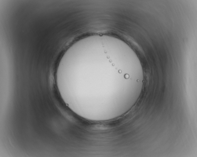 X0000113900541200909241205