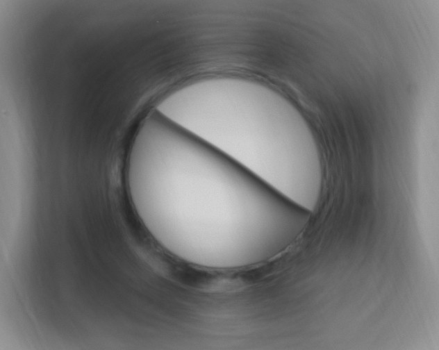 X0000113900543200909241205