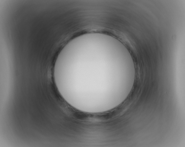 X0000113900545200909241205