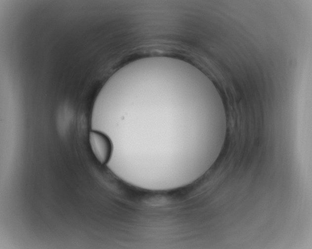 X0000113900551200909241205