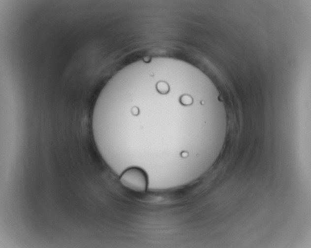 X0000113900557200909241205