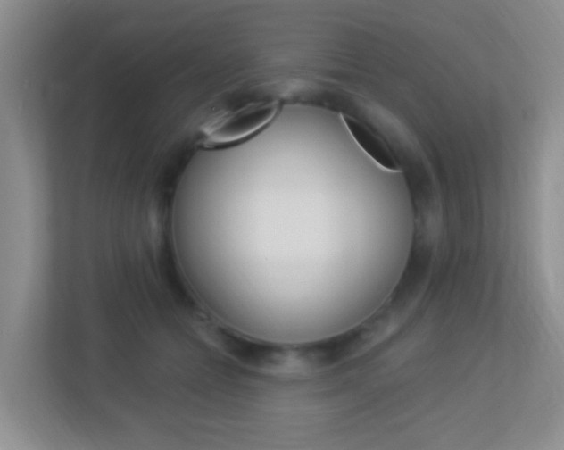 X0000113900558200909241205